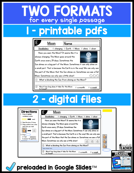 Level E Reading Comprehension Passages and Questions - Set Two – A ...