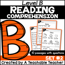Level B Reading Comprehension Passages and Questions - Set Two