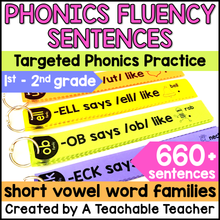 Phonics Based Fluency Sentences - Short Vowel Word Families