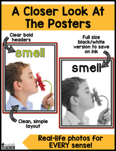 5 Senses Posters with Real Photographs