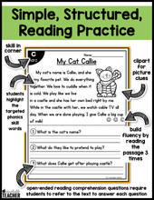 All-in-One Reading Passages- Hard and Soft C and G Set #2