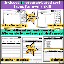 Glued Sounds Word Sorts | Phonics & Decodable Intervention Activities for K-2