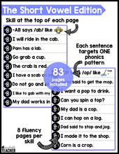 Phonics Based Fluency Sentences - Short Vowel Word Families