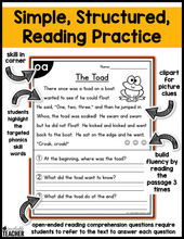 All-in-One Reading Passages - Long Vowels
