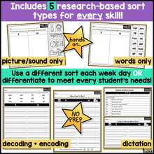 Double Final Consonants Word Sorts | Phonics & Decodable Intervention Activities