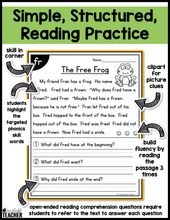 All-in-One Reading Passages - Blends and Digraphs Set #2