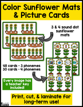 September Sunflower Sounds Phonemic Awareness Activities: Segmenting & Blending Sounds