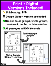 Level AA Reading Comprehension Passages and Questions - Set Two