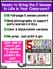 5 Senses Posters with Real Photographs