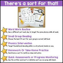 CVC Word Sorts | Phonics & Short Vowel Intervention Activities for K-2